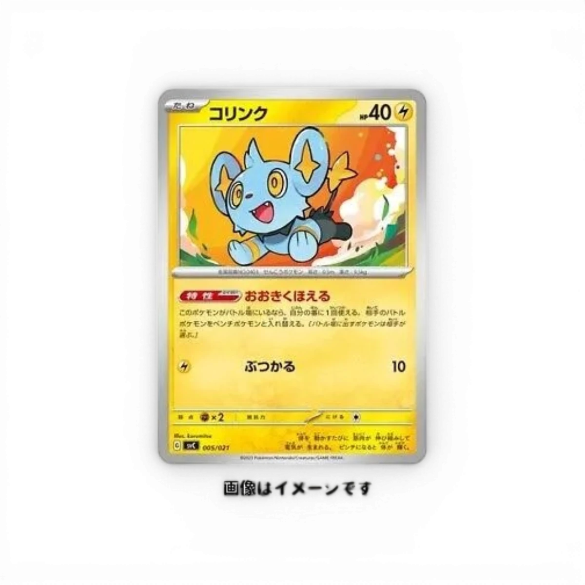 Coffret Pokémon japonais Pikachu EX SVC Scarlet et Violet avec deck de cartes et peluche Pikachu, DriftParadiZ